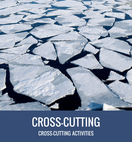 Cross-Cutting Activities