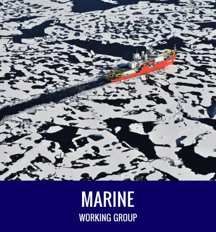 Marine Working Group
